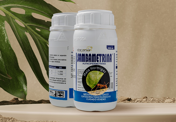 Limelight (Ultra Sour)